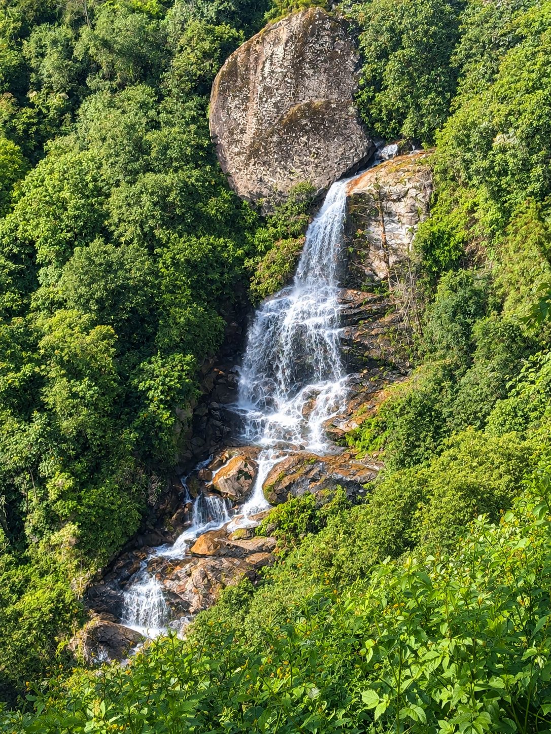 Small waterfall in the forest near Kanyal Heights