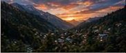 Forested mountainside near Hadimba Devi Temple, Manali